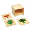 Botany Puzzles